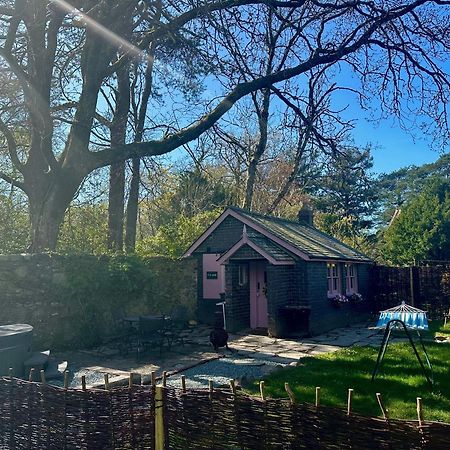 Tiny Romantic Retreat With Hot Tub On A Country Estate Near Cardigan Bay In Eryri Snowdonia 兰贝德 外观 照片