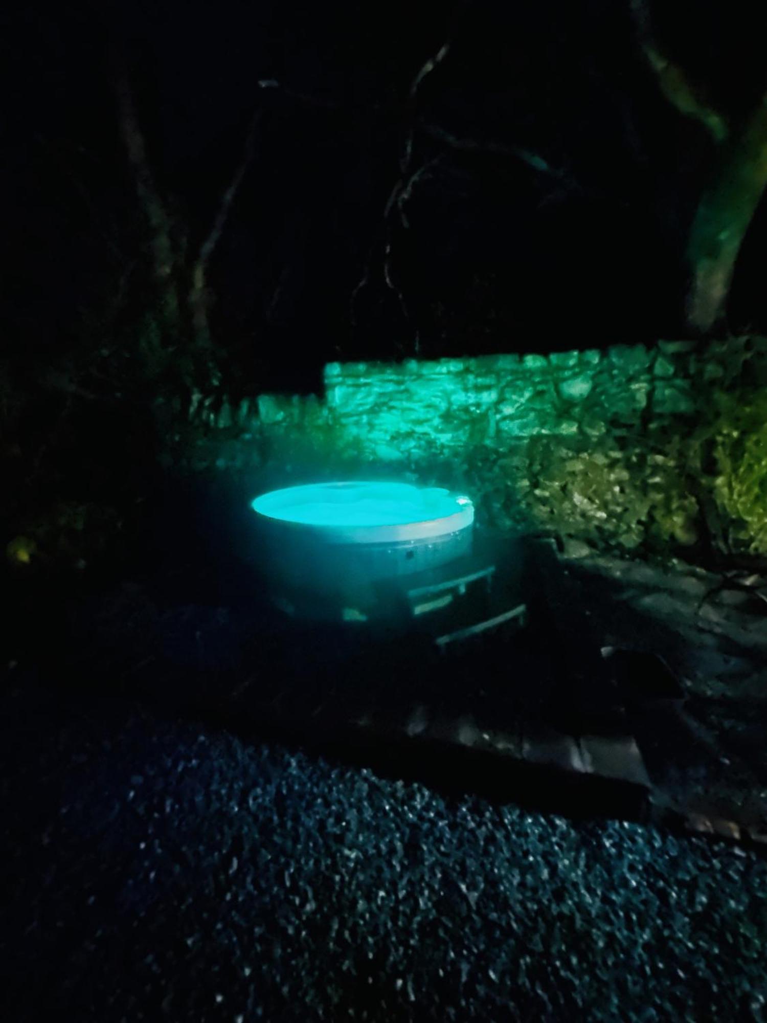 Tiny Romantic Retreat With Hot Tub On A Country Estate Near Cardigan Bay In Eryri Snowdonia 兰贝德 外观 照片