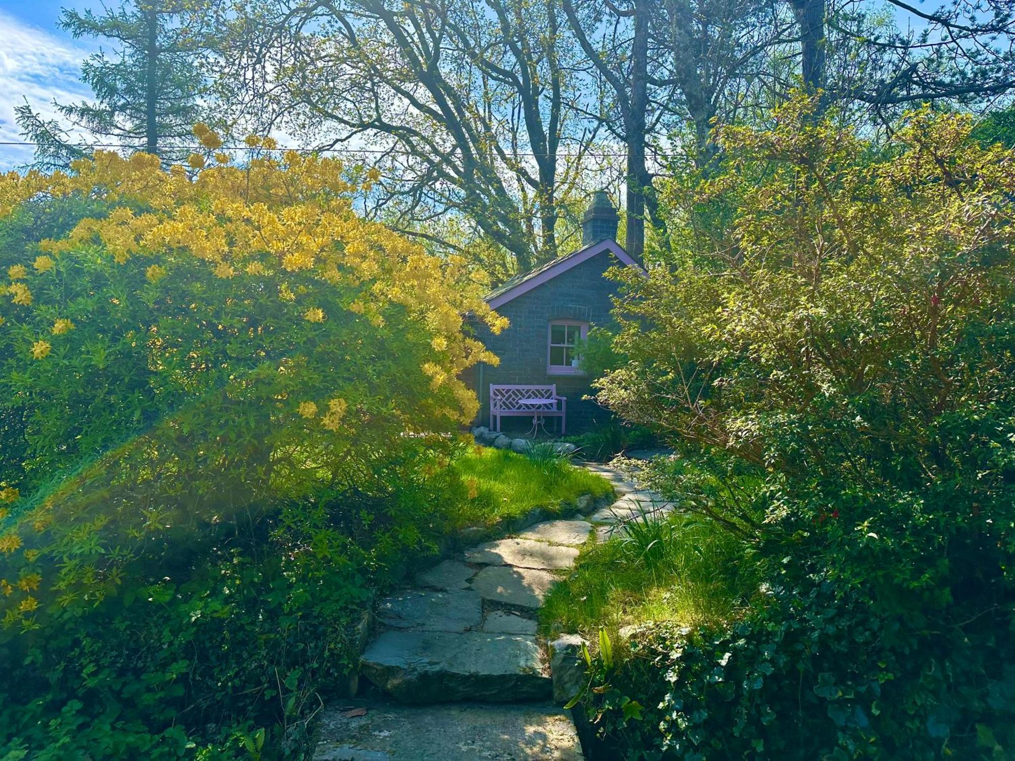 Tiny Romantic Retreat With Hot Tub On A Country Estate Near Cardigan Bay In Eryri Snowdonia 兰贝德 外观 照片